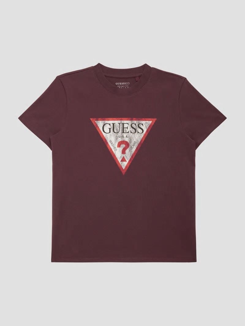 Guess Eco Triangle Logo Tee - Coachwhip